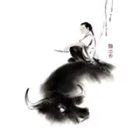 个人成长计划