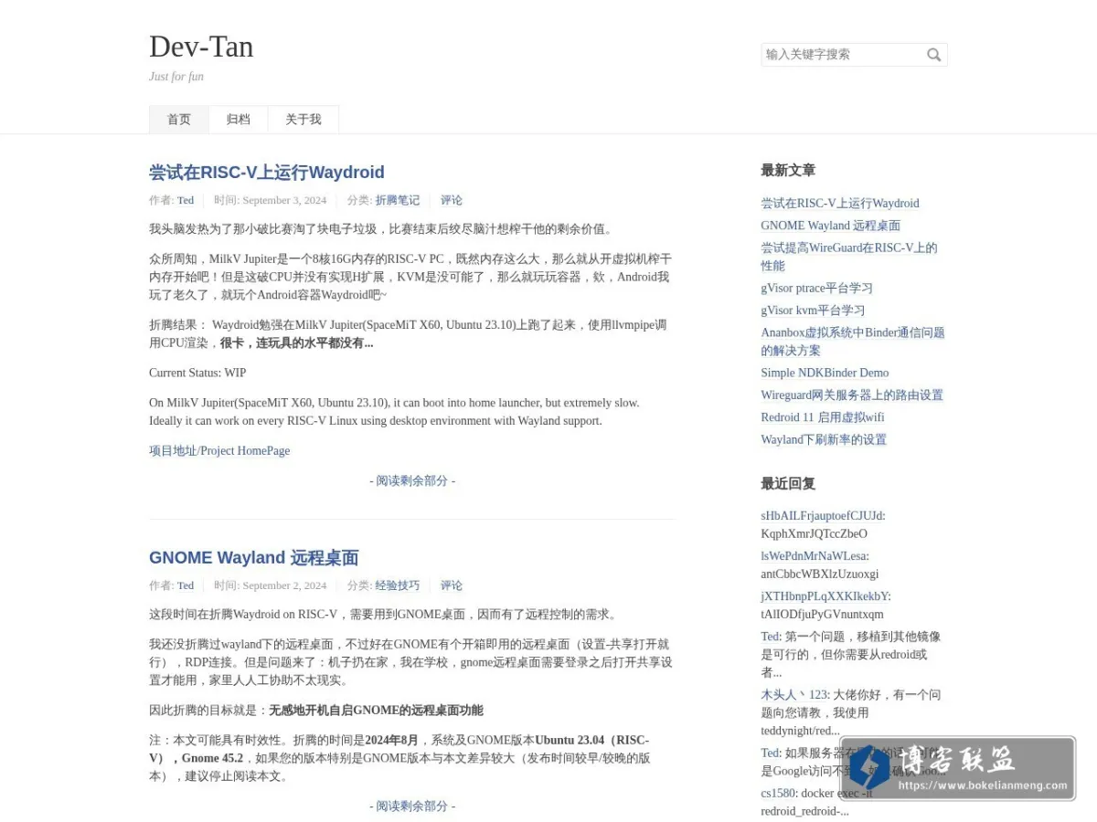 Dev-Tan 的网站快照