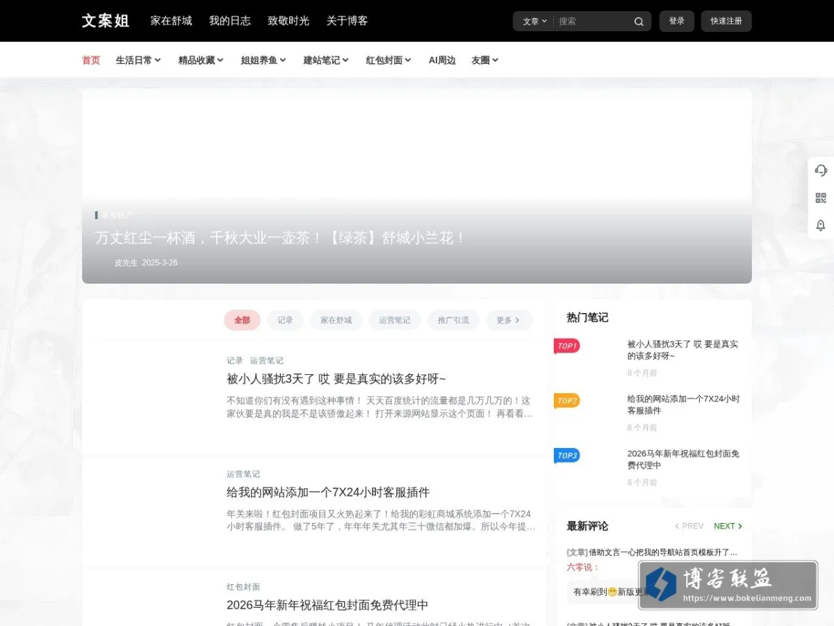 文案姐笔记 的网站快照