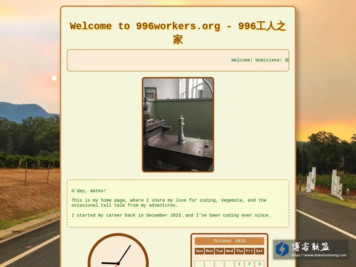 996Workers.org 的网站快照