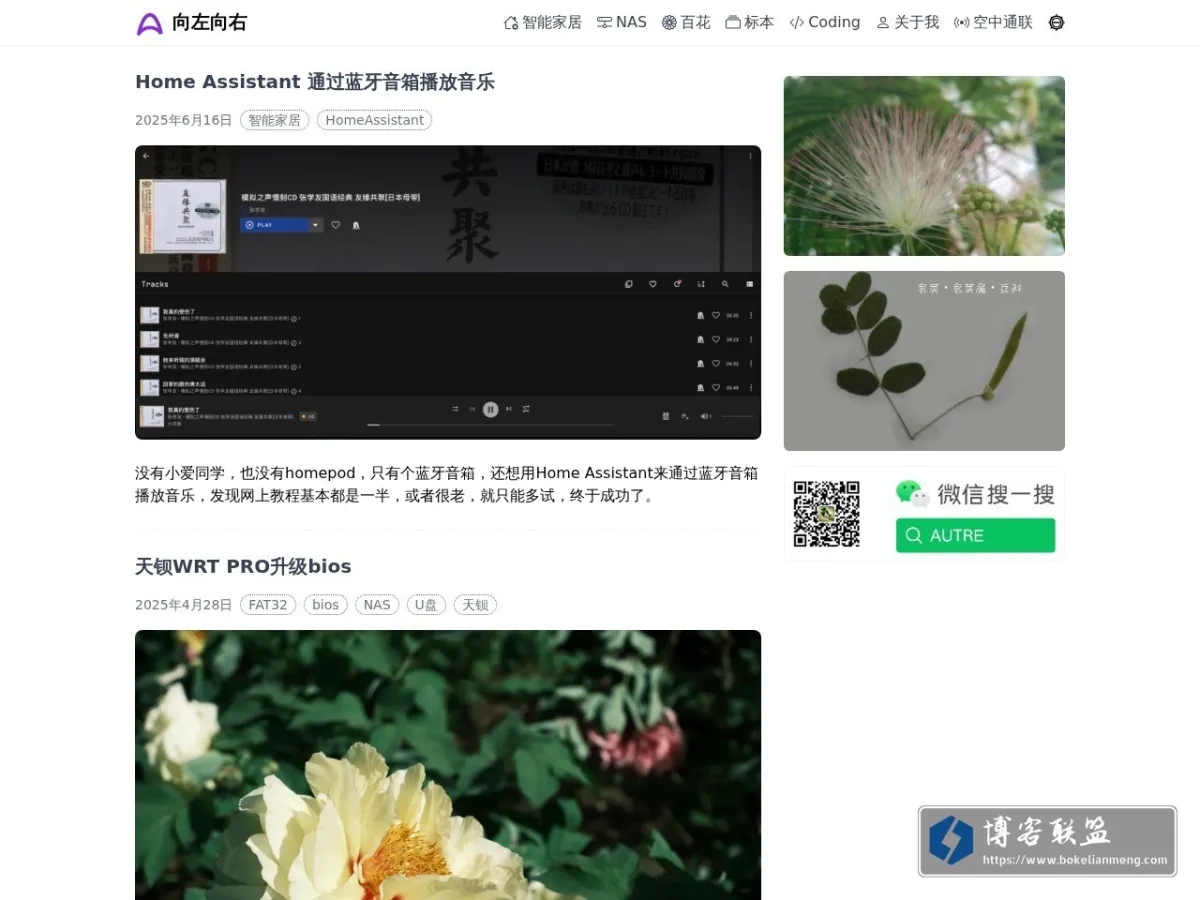 向左向右 的网站快照