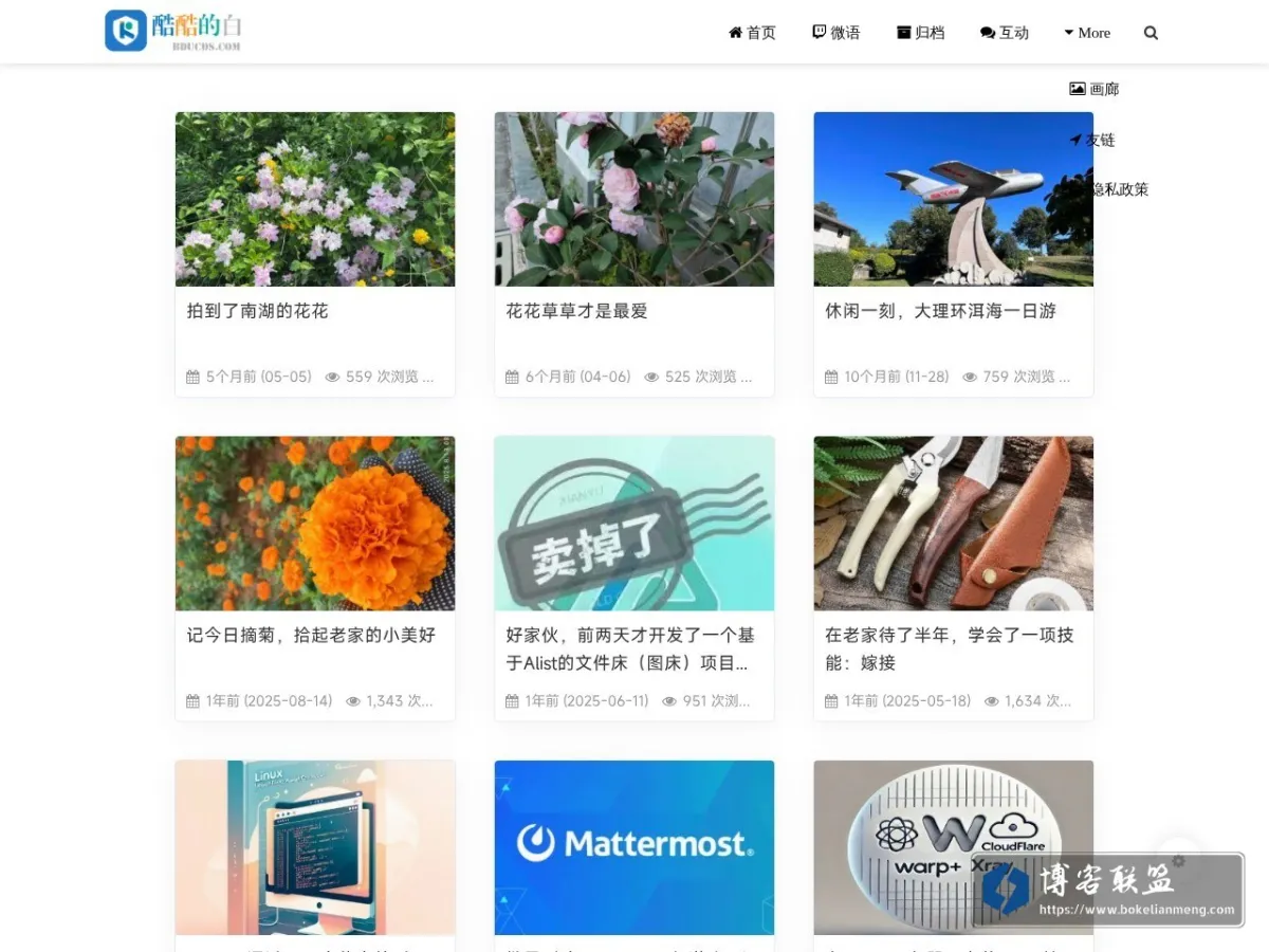 酷酷的白 的网站快照