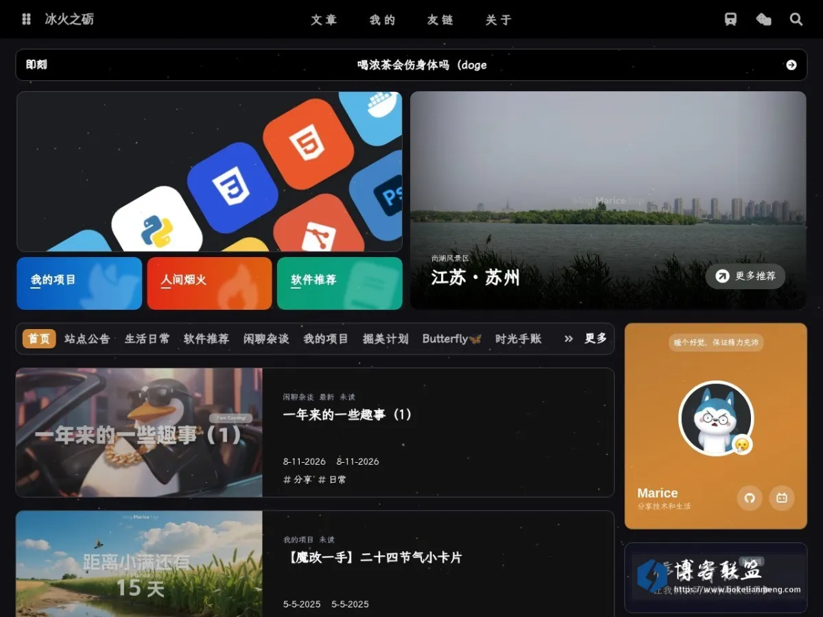 TheIce 的网站快照