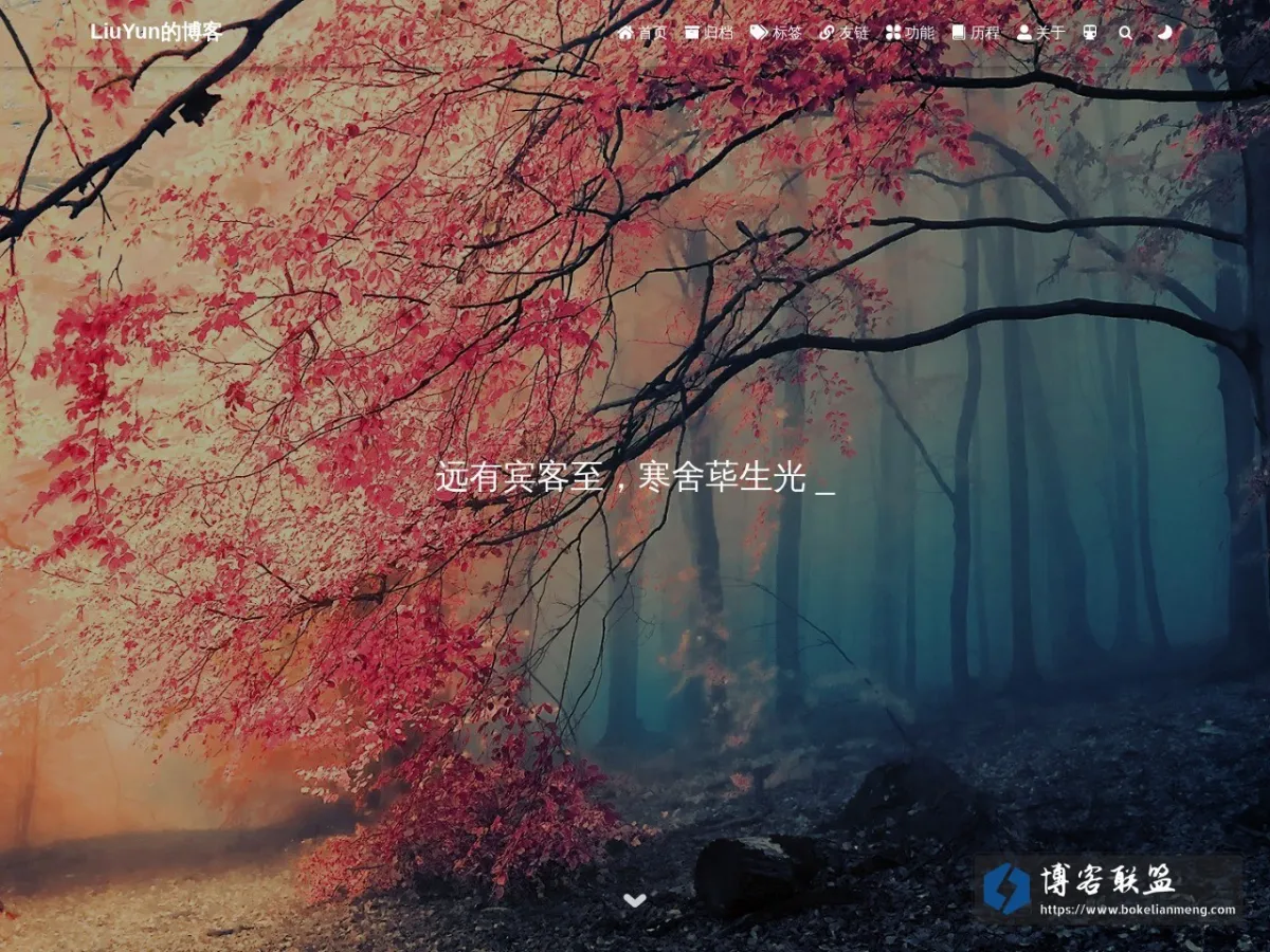 LiuYun 的网站快照