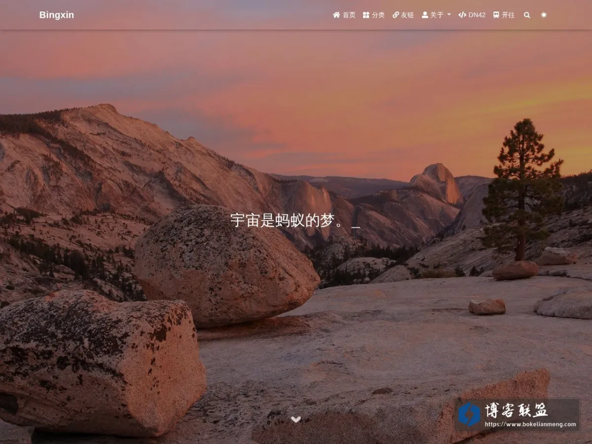 Bingxin Blog 的网站快照