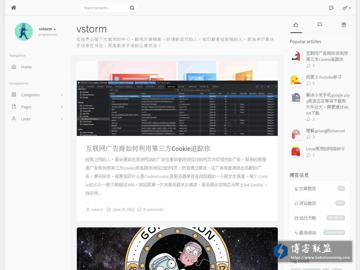 vstorm - 记录生活 的网站快照
