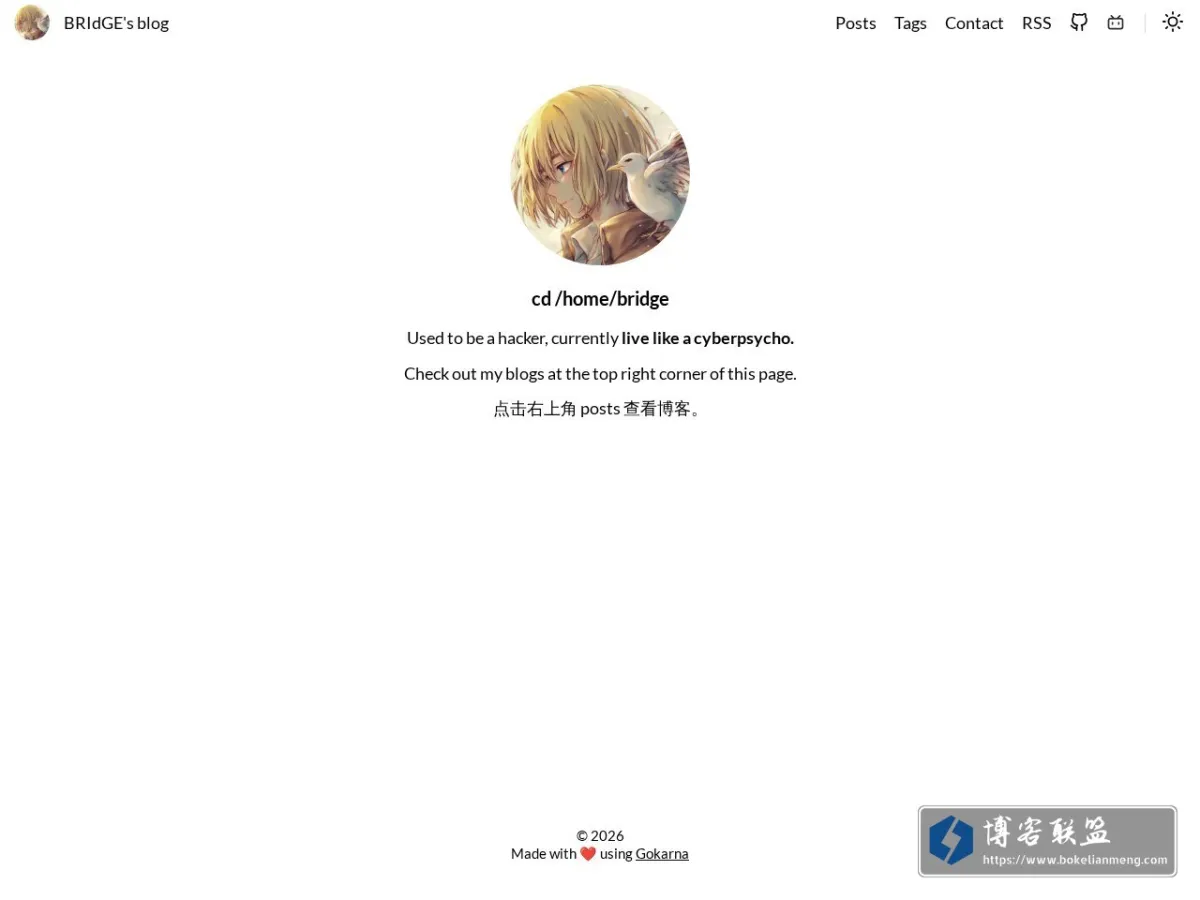 BRIdGE's blog 的网站快照