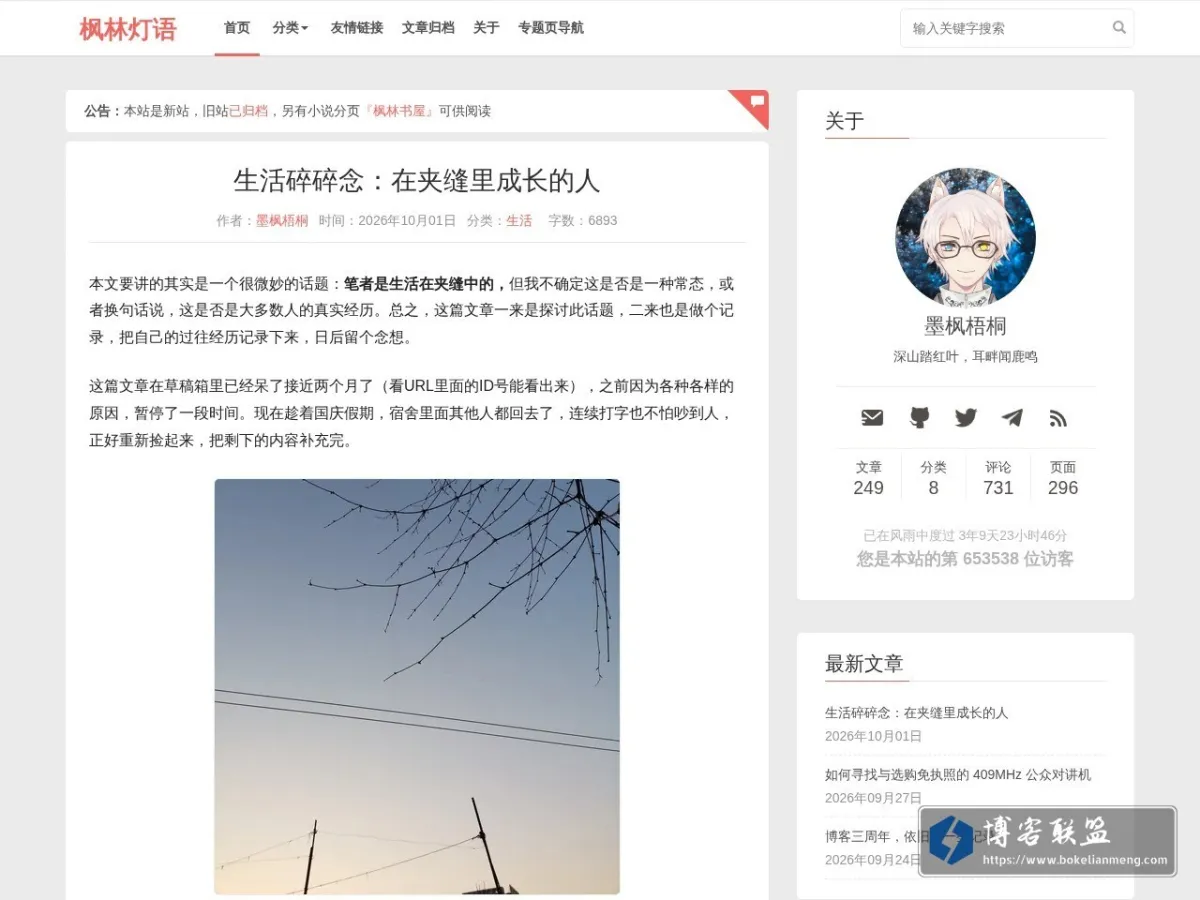 枫林灯语 的网站快照
