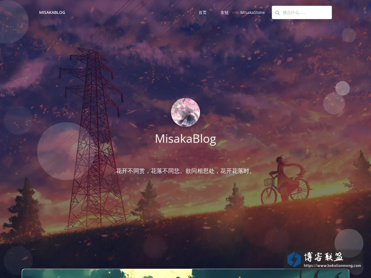 blog.misakastone.com 的网站快照
