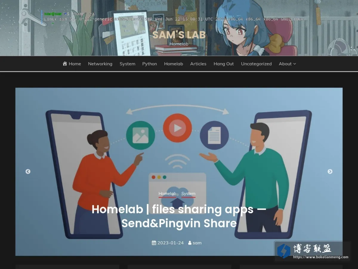 SAM'S LAB 的网站快照
