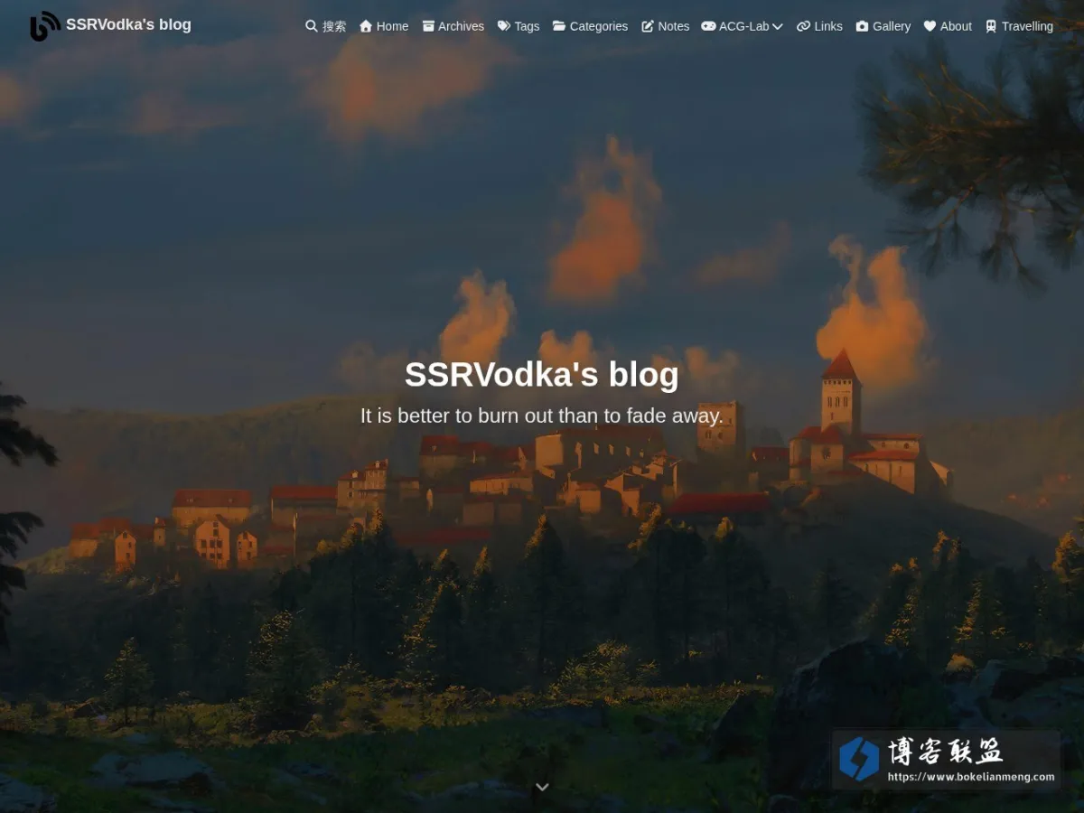 SSRVodka's Blog 的网站快照
