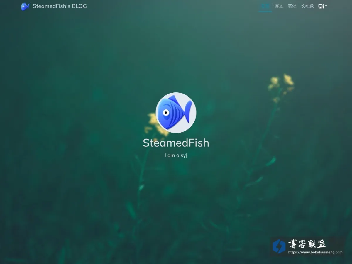 SteamedFish's BLOG 的网站快照