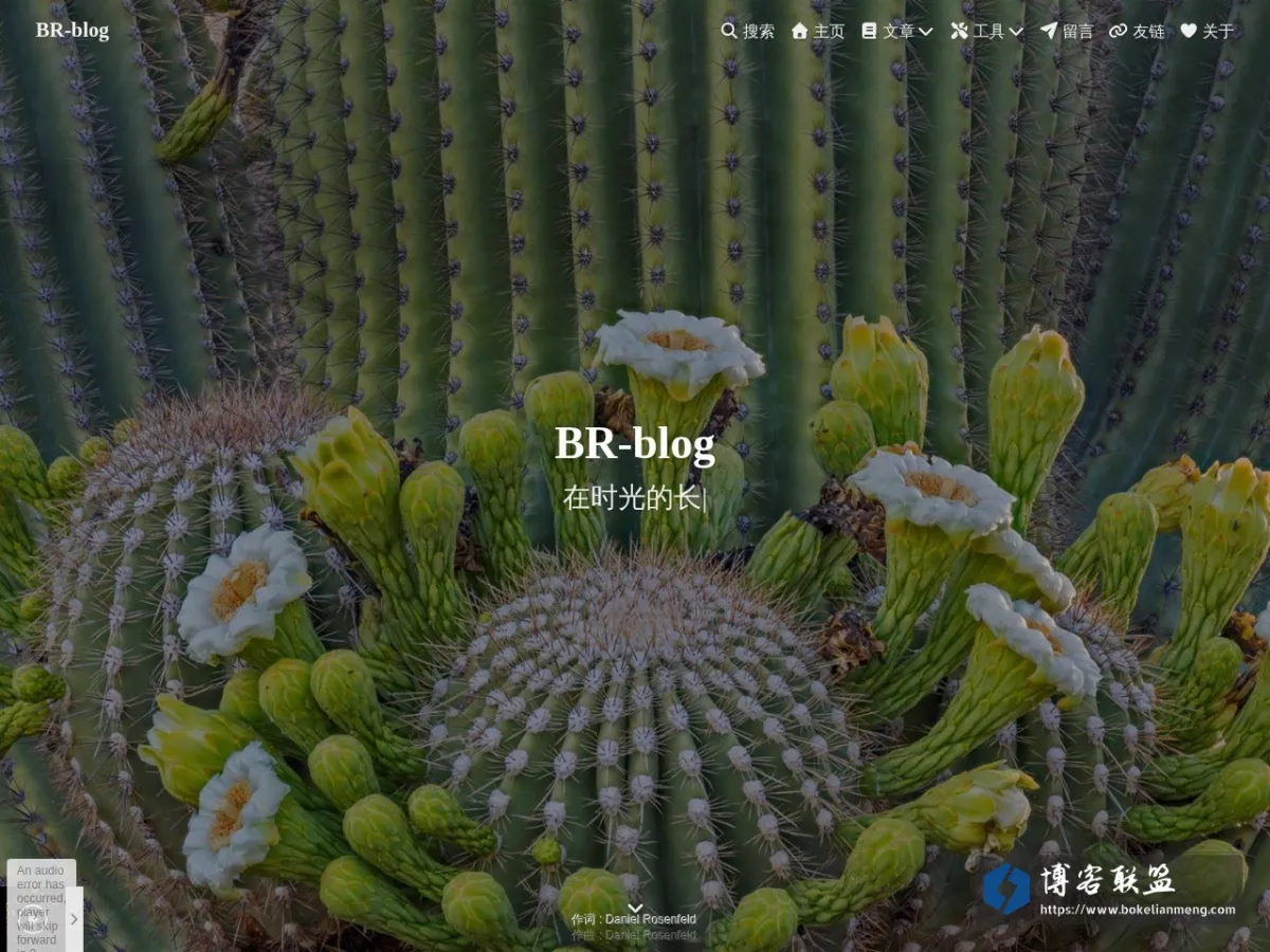 BR-blog 的网站快照
