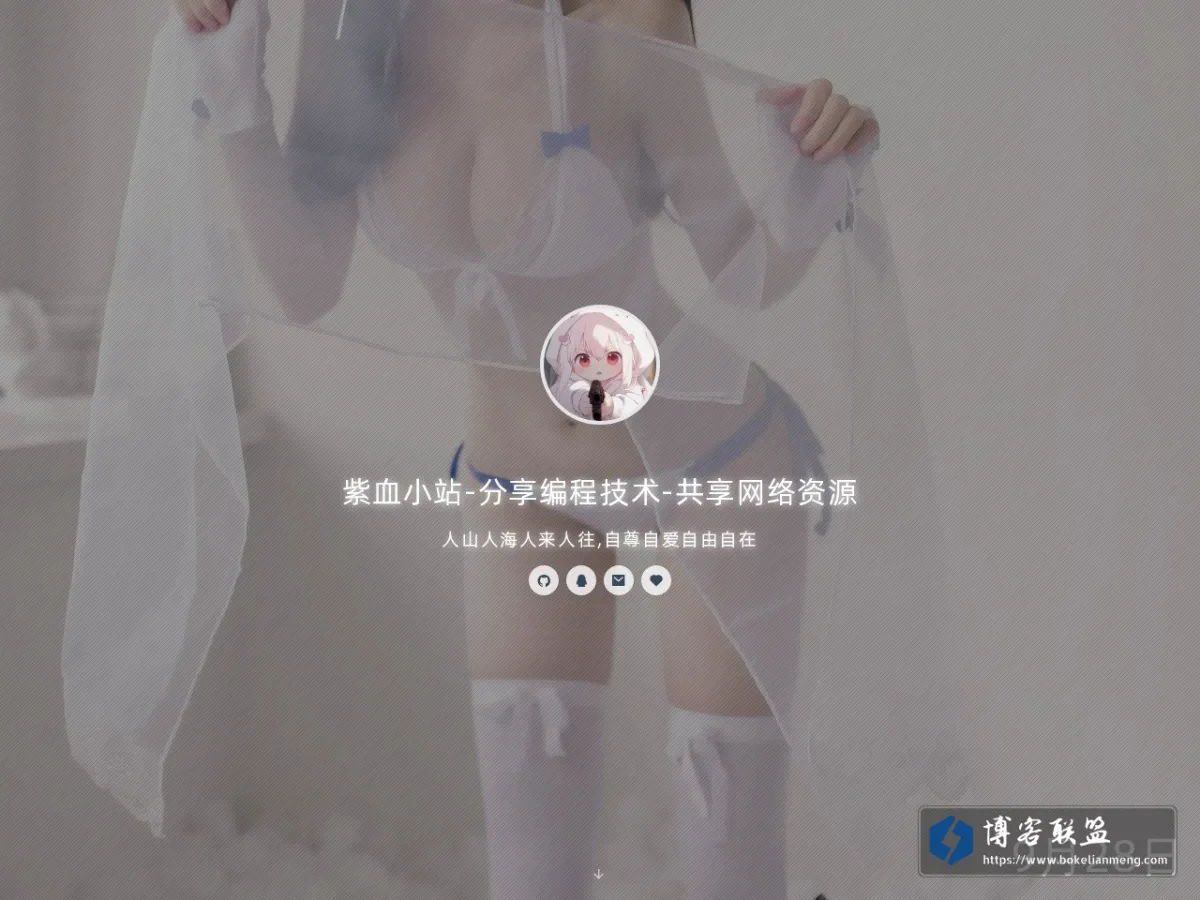 紫血小站-分享编程技术-共享网络资源 的网站快照
