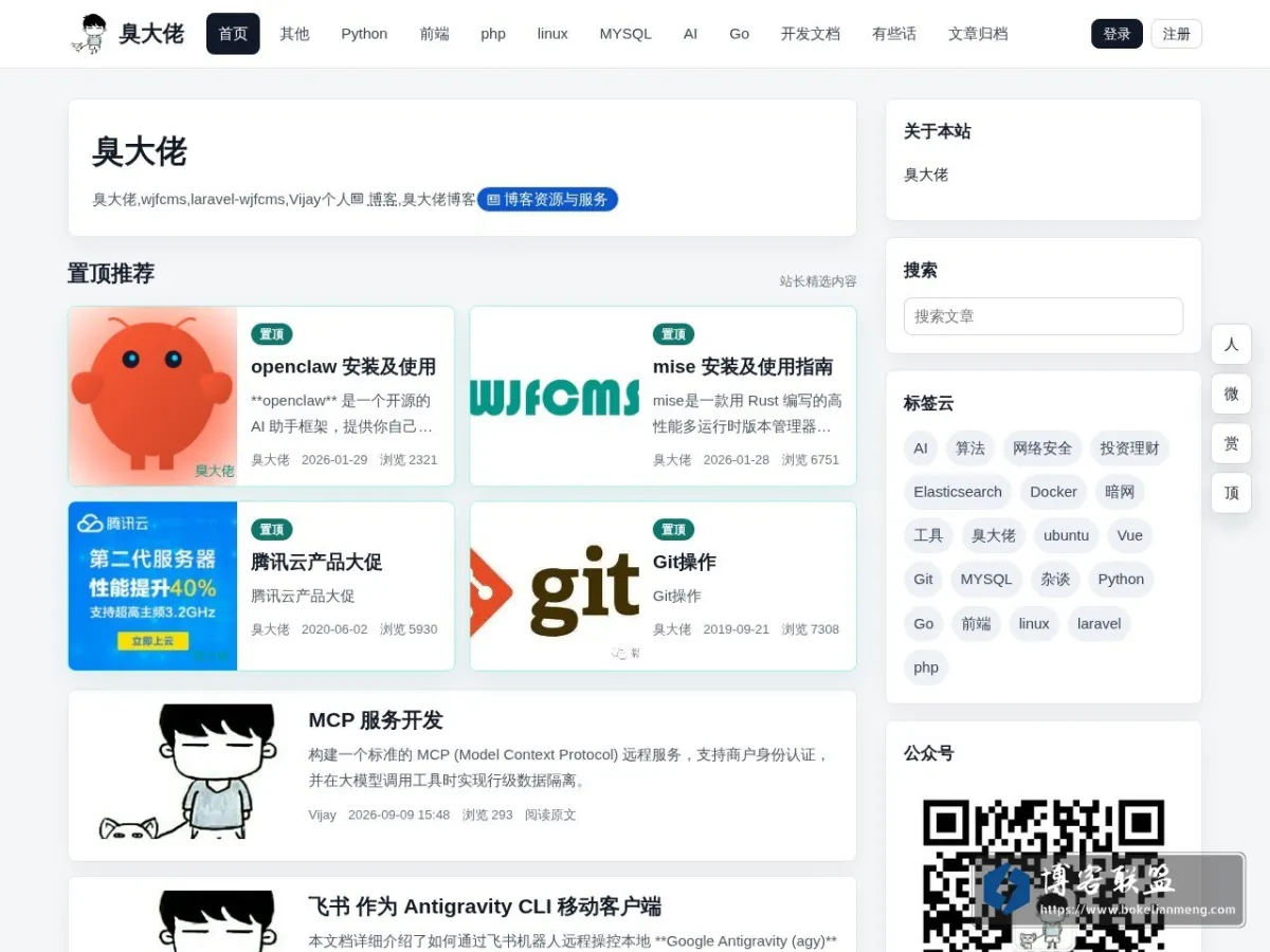 臭大佬 的网站快照