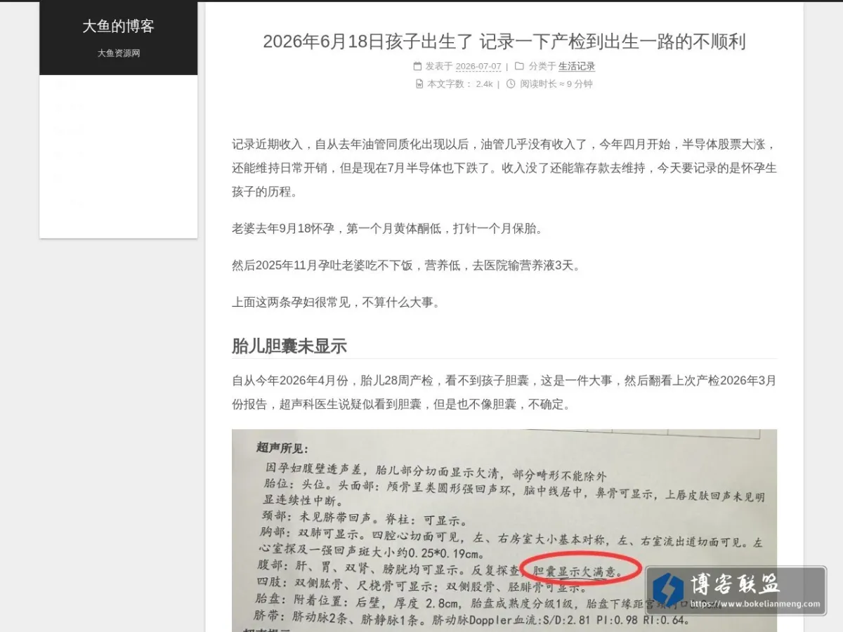 大鱼的博客 的网站快照