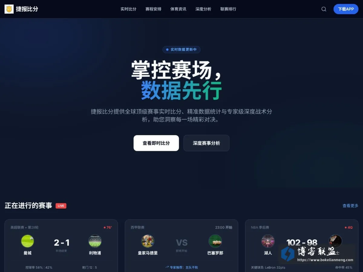 ddceo.com 的网站快照