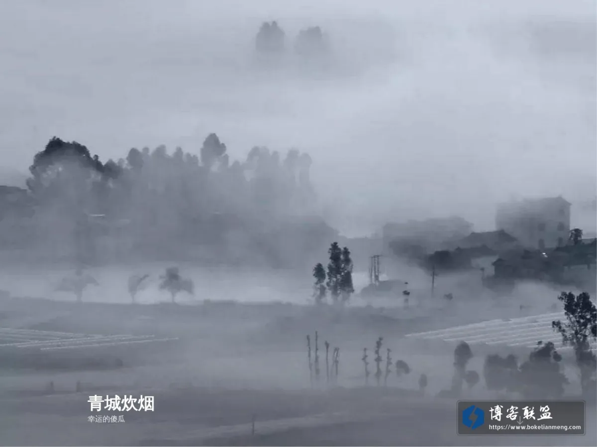 青城炊烟 的网站快照