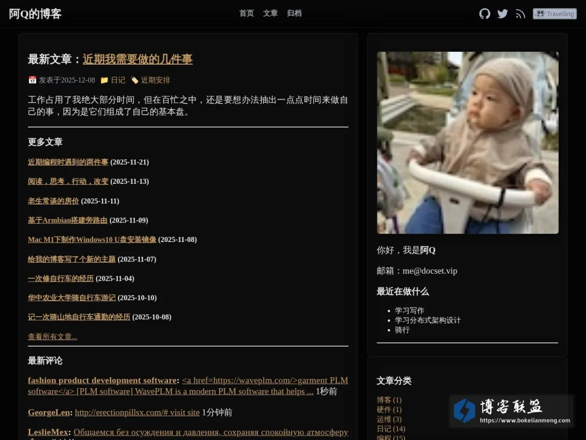 阿Q的博客 的网站快照