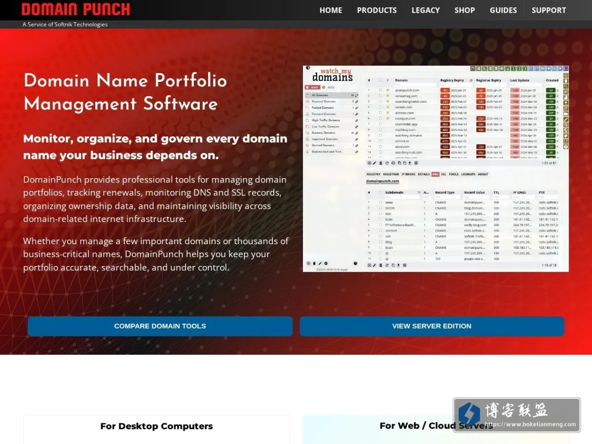 DomainPunch 的网站快照