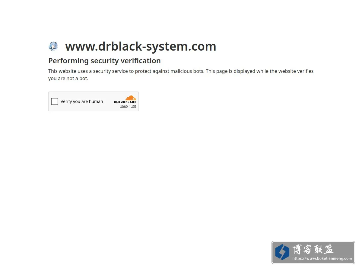 www.drblack-system.com 的网站快照