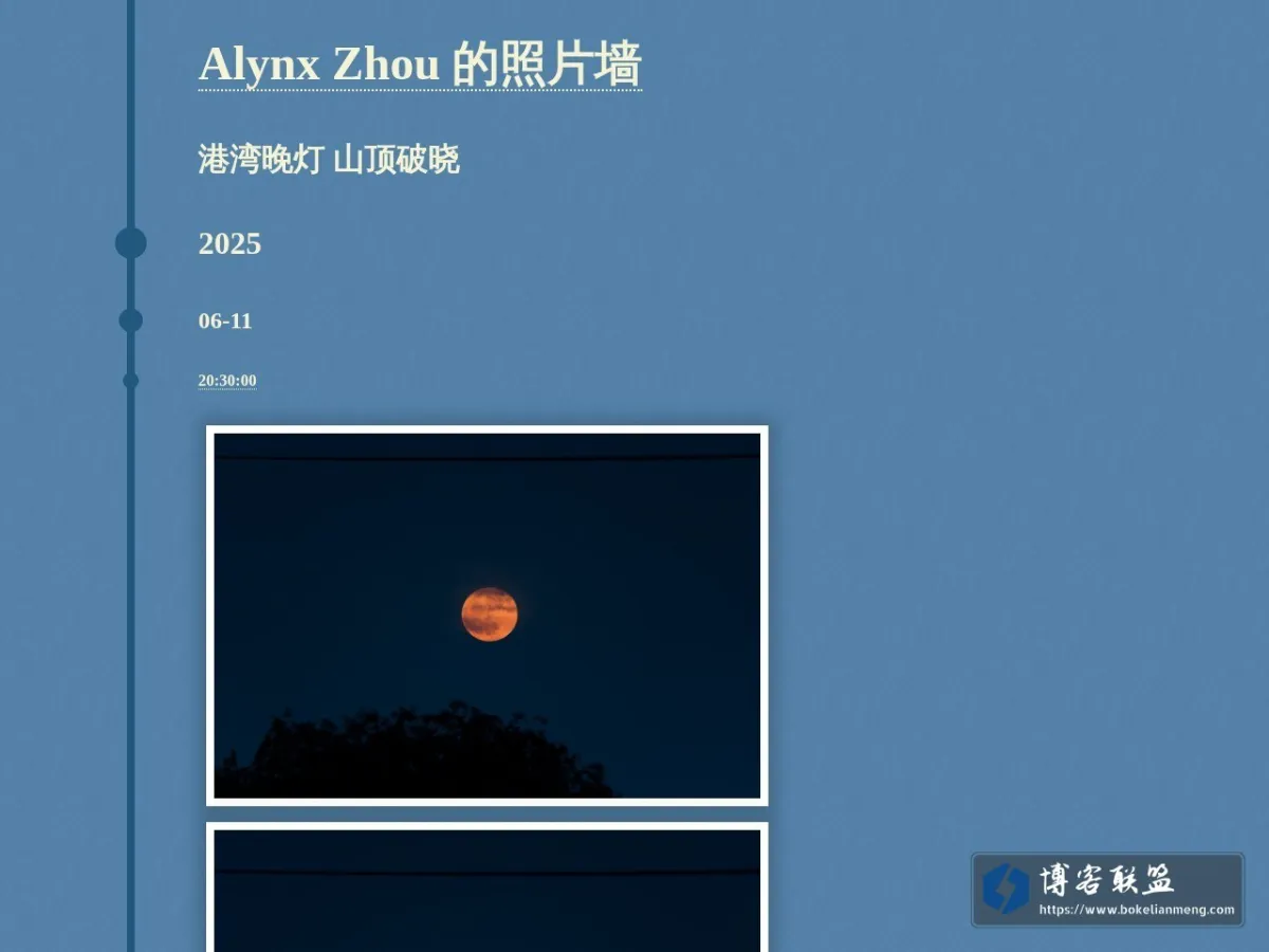 Alynx Zhou 的照片墙 的网站快照