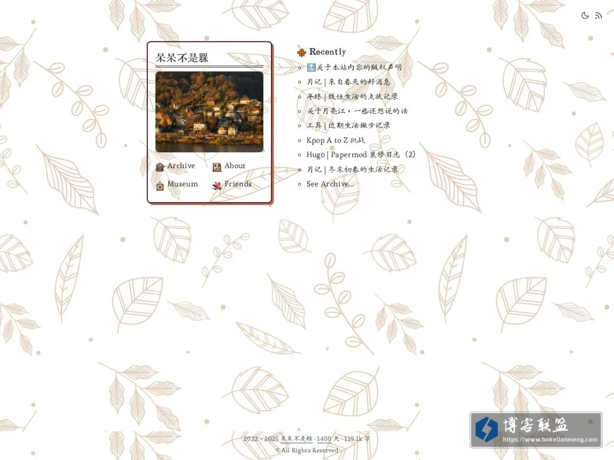 呆呆不是槑 的网站快照