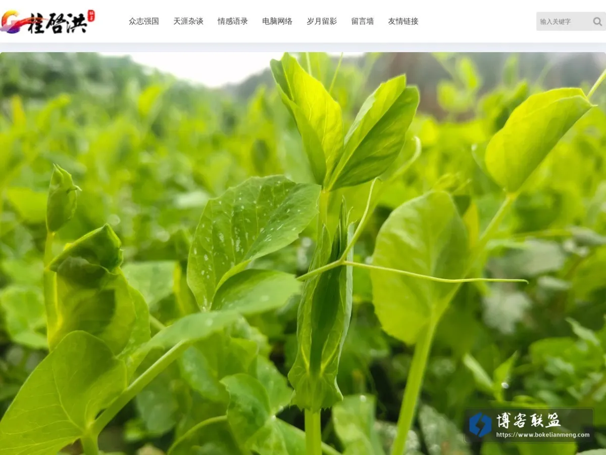 www.guiqihong.com 的网站快照
