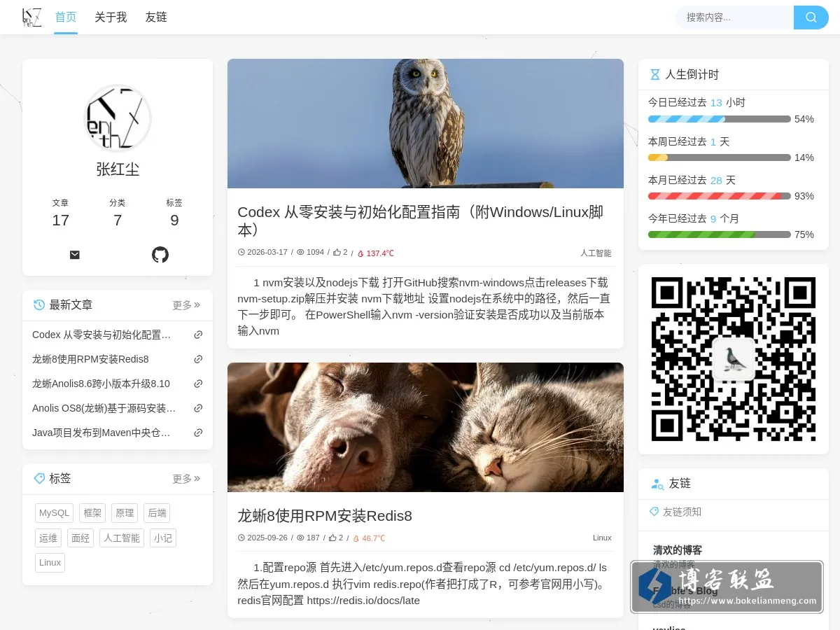张红尘的技术笔记|纵你阅人何其多，始终无人恰似我 的网站快照
