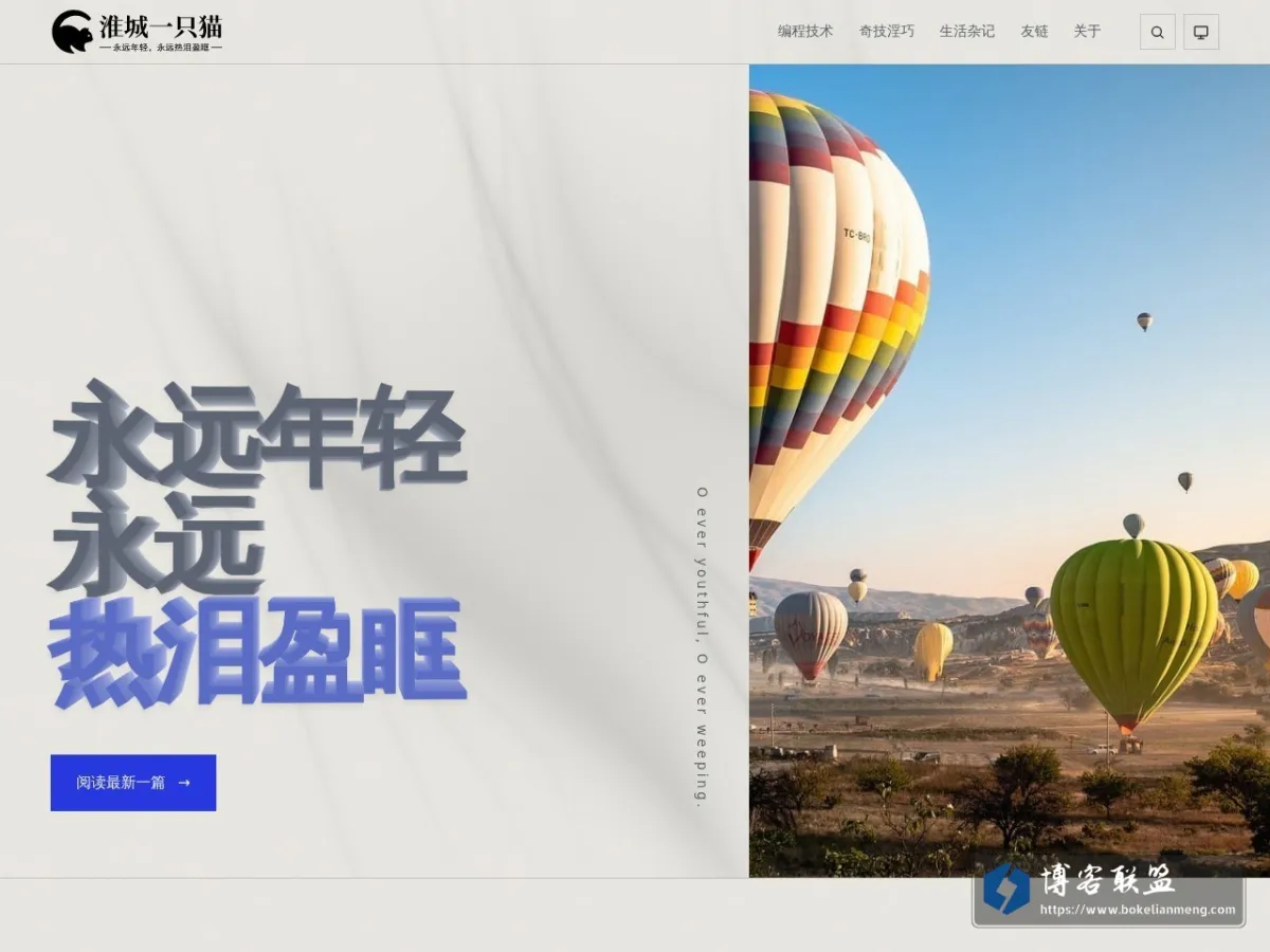 淮城一只猫 - 永远年轻，永远热泪盈眶 的网站快照