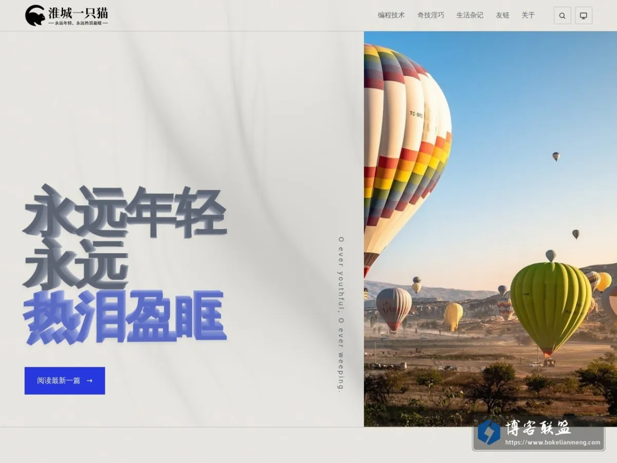 淮城一只猫 的网站快照