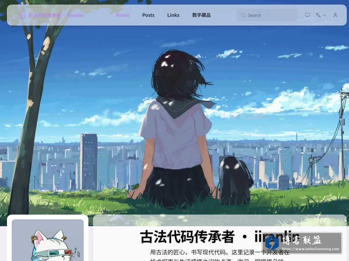古法代码传承者 · iiranlin 的网站快照