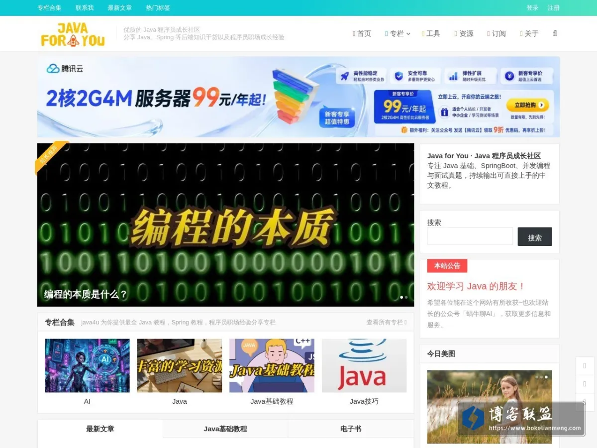 Java for You 的网站快照