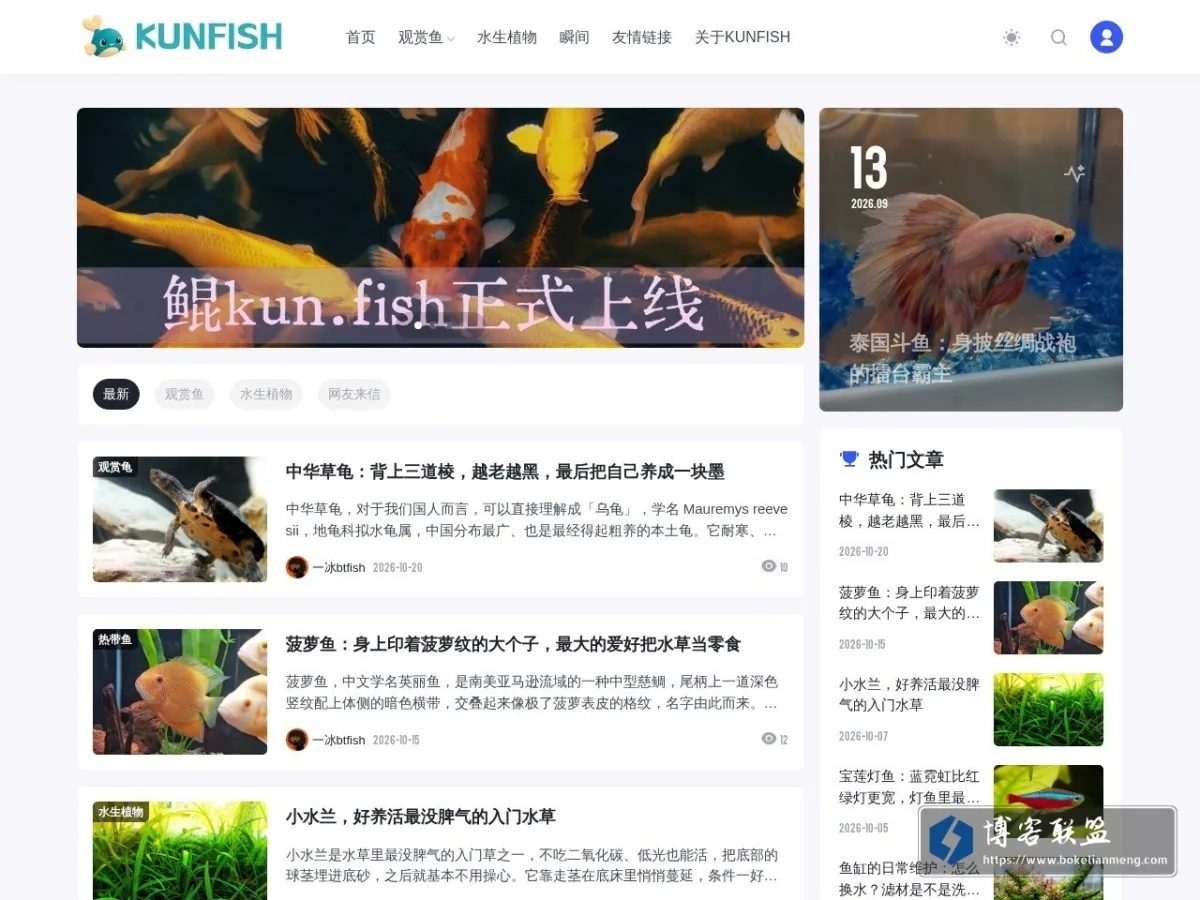 鲲KUNFISH 的网站快照