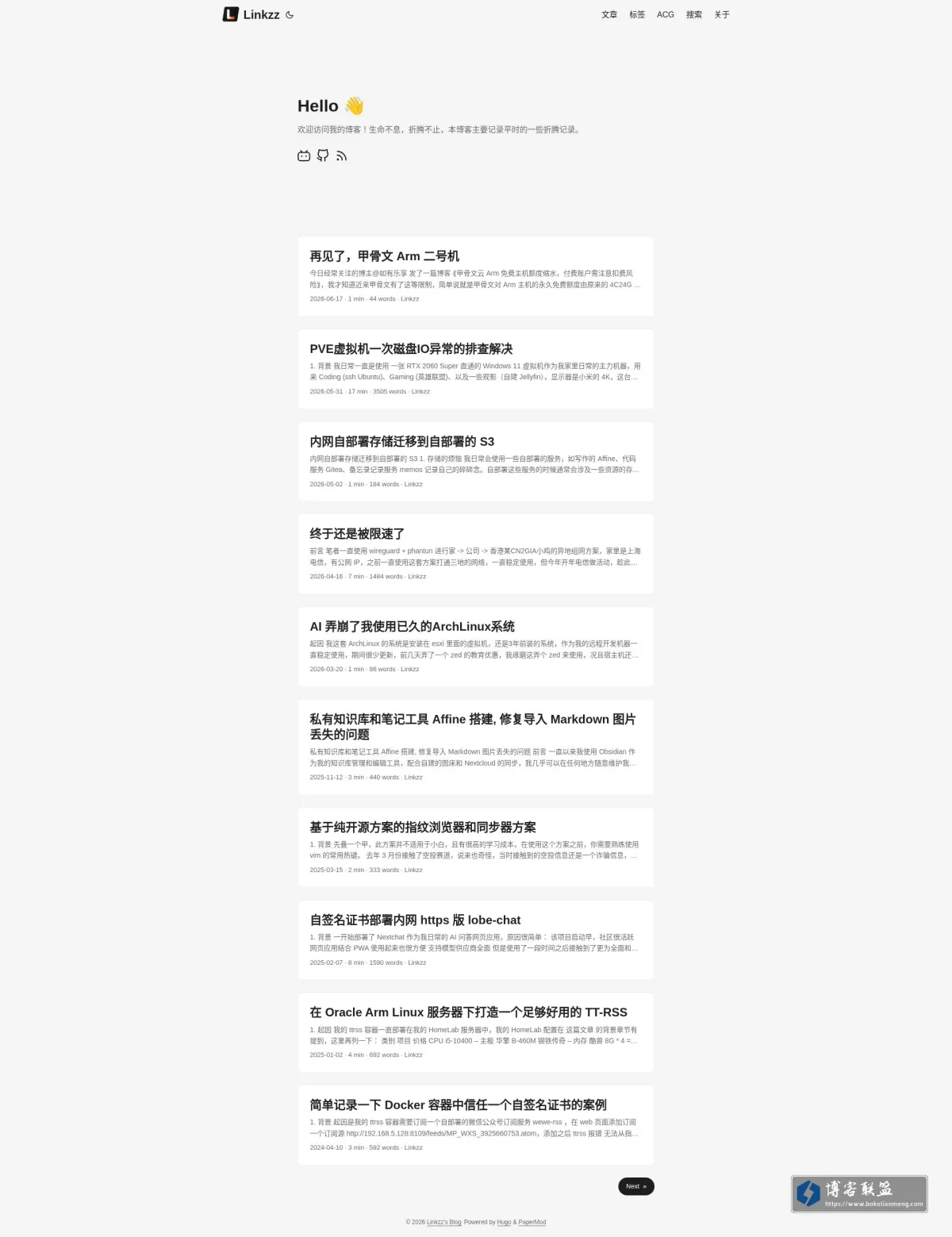 Linkzz's Blog 的网站快照