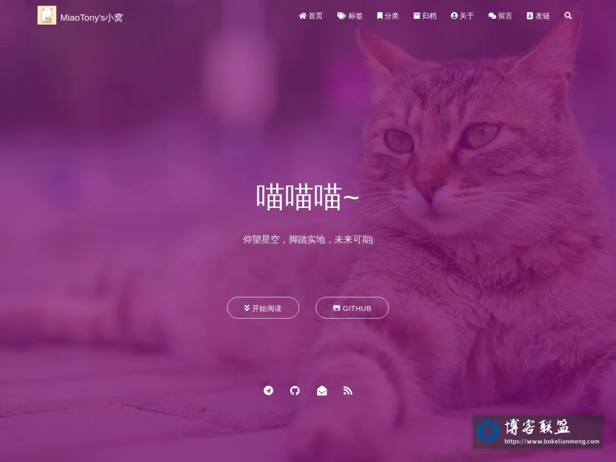 MiaoTony's Blog 的网站快照