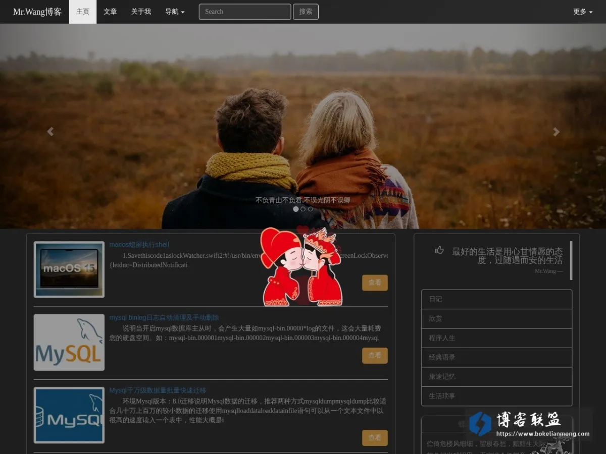 MR.WANG BLOG 的网站快照