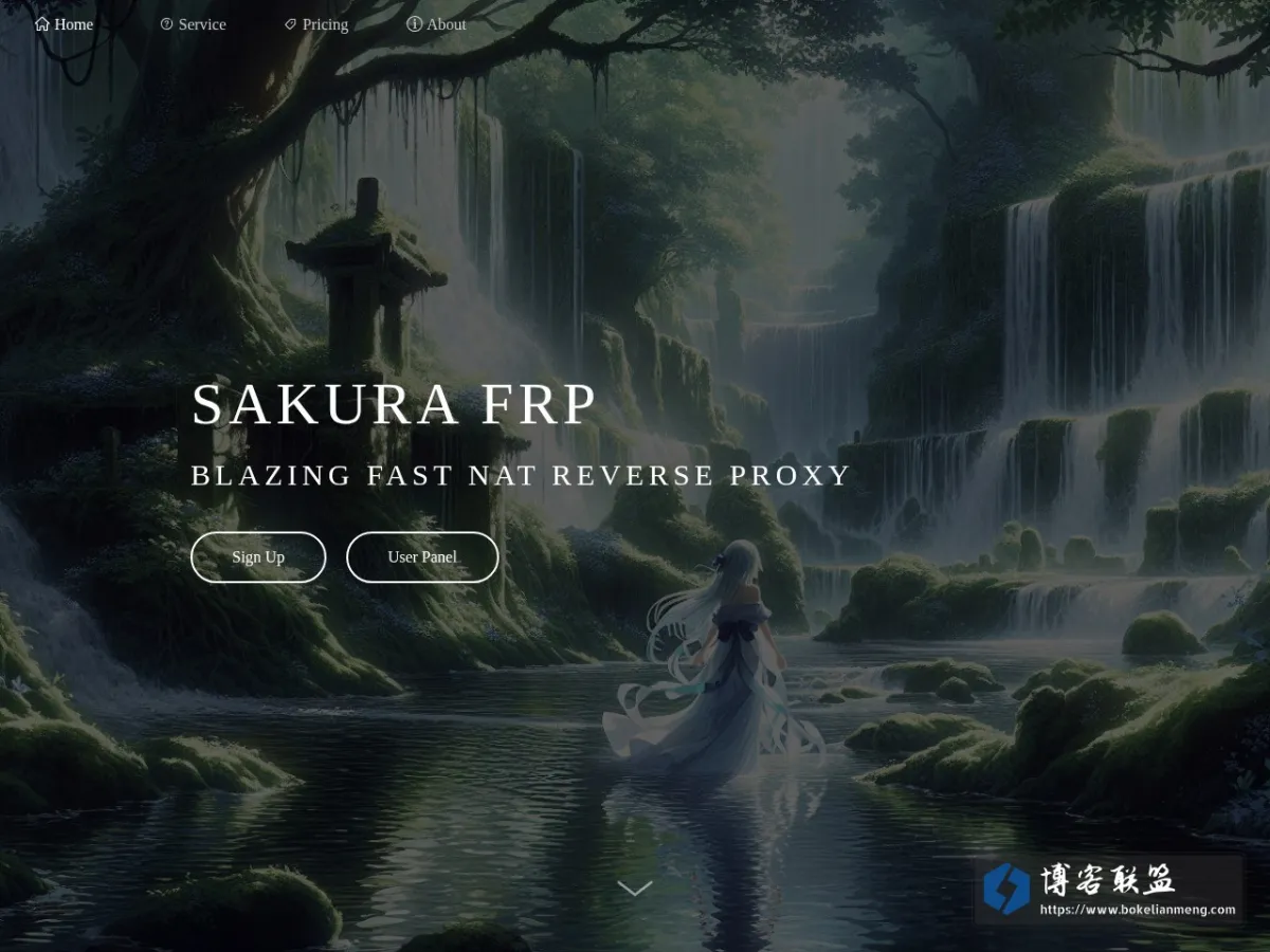 Sakura Frp | 樱花内网穿透 — 免费内网穿透_免费端口映射_高速_高防节点_不限流量_Minecraft我的世界_微信开发调试_群辉NAS_无需公网_免备案 的网站快照