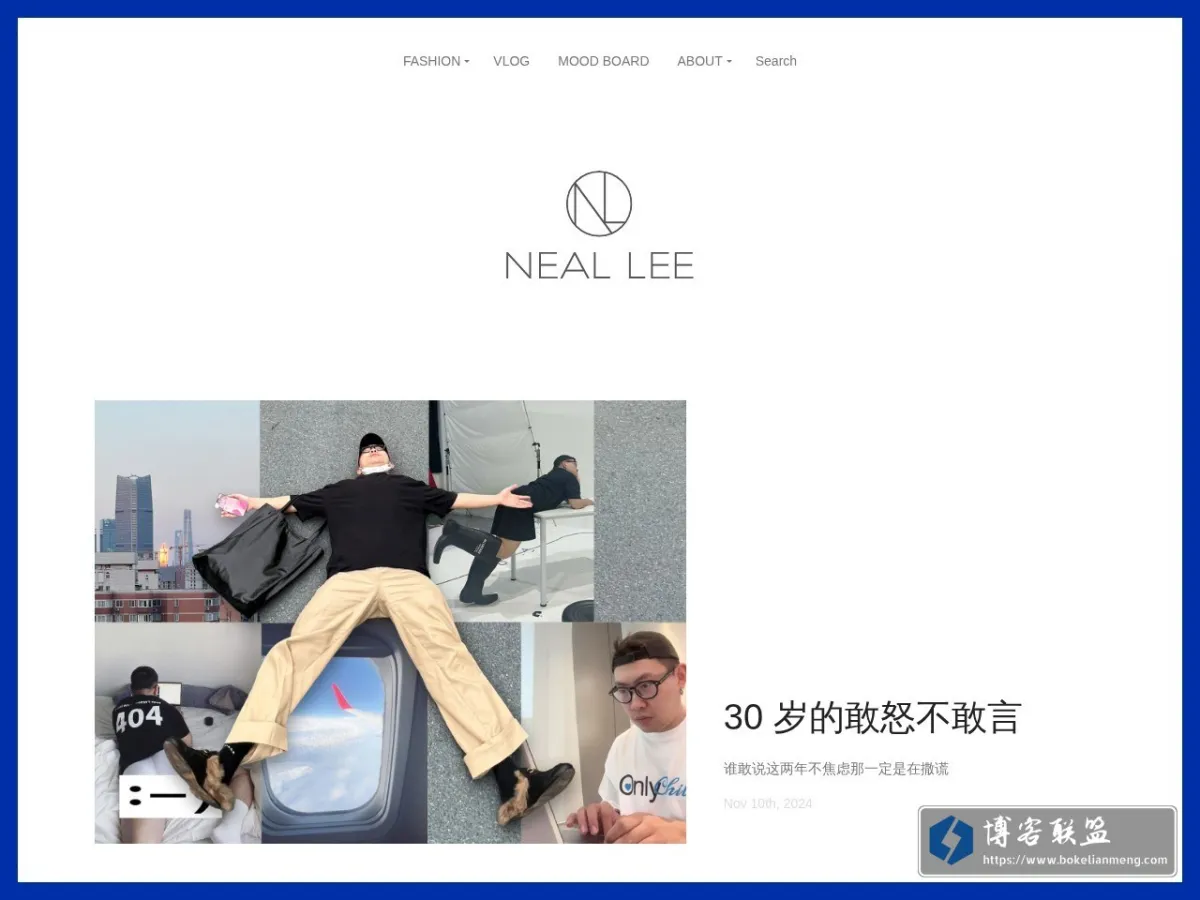 NEAL LEE 的网站快照