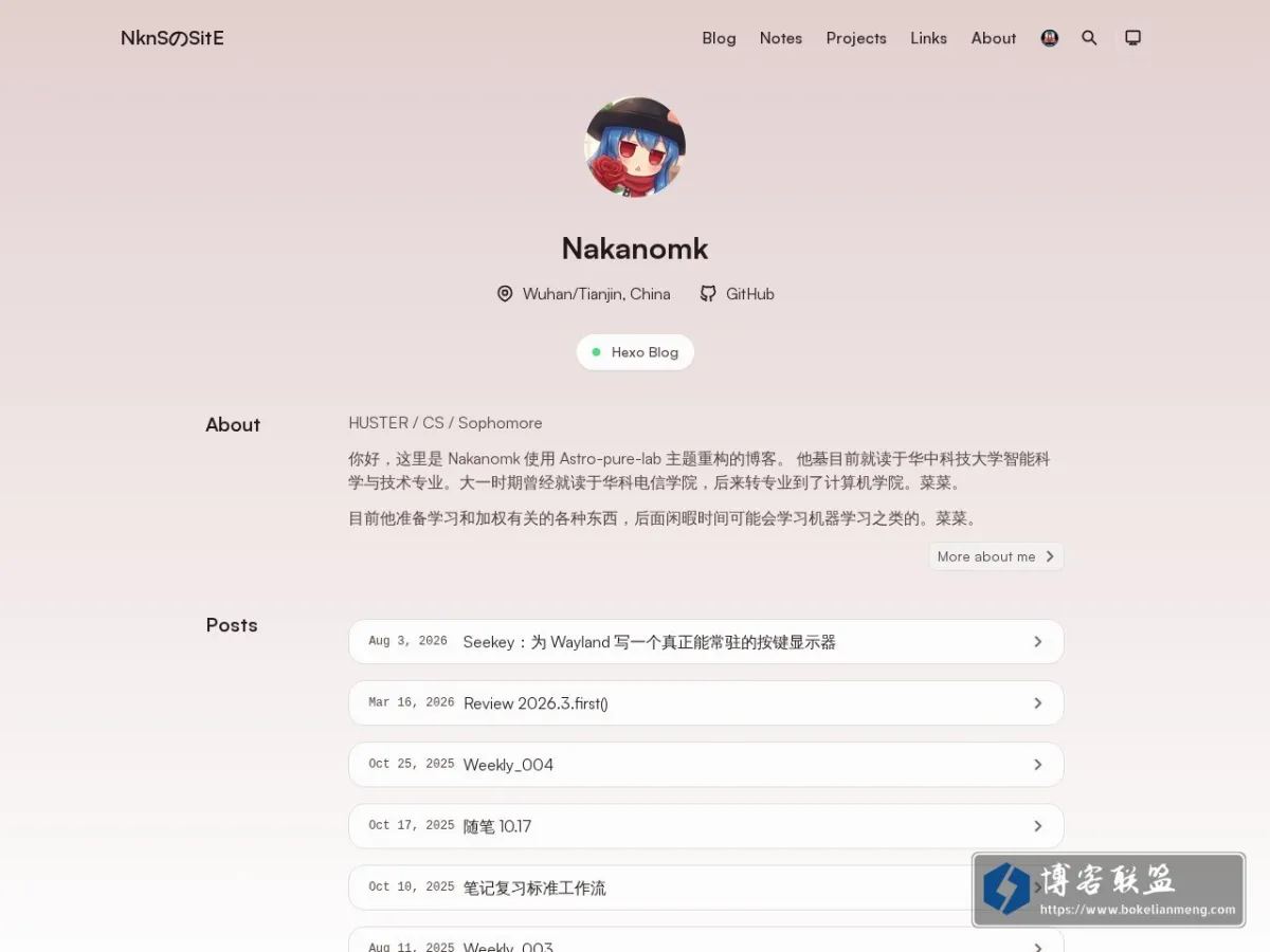 NknSのSitE 的网站快照