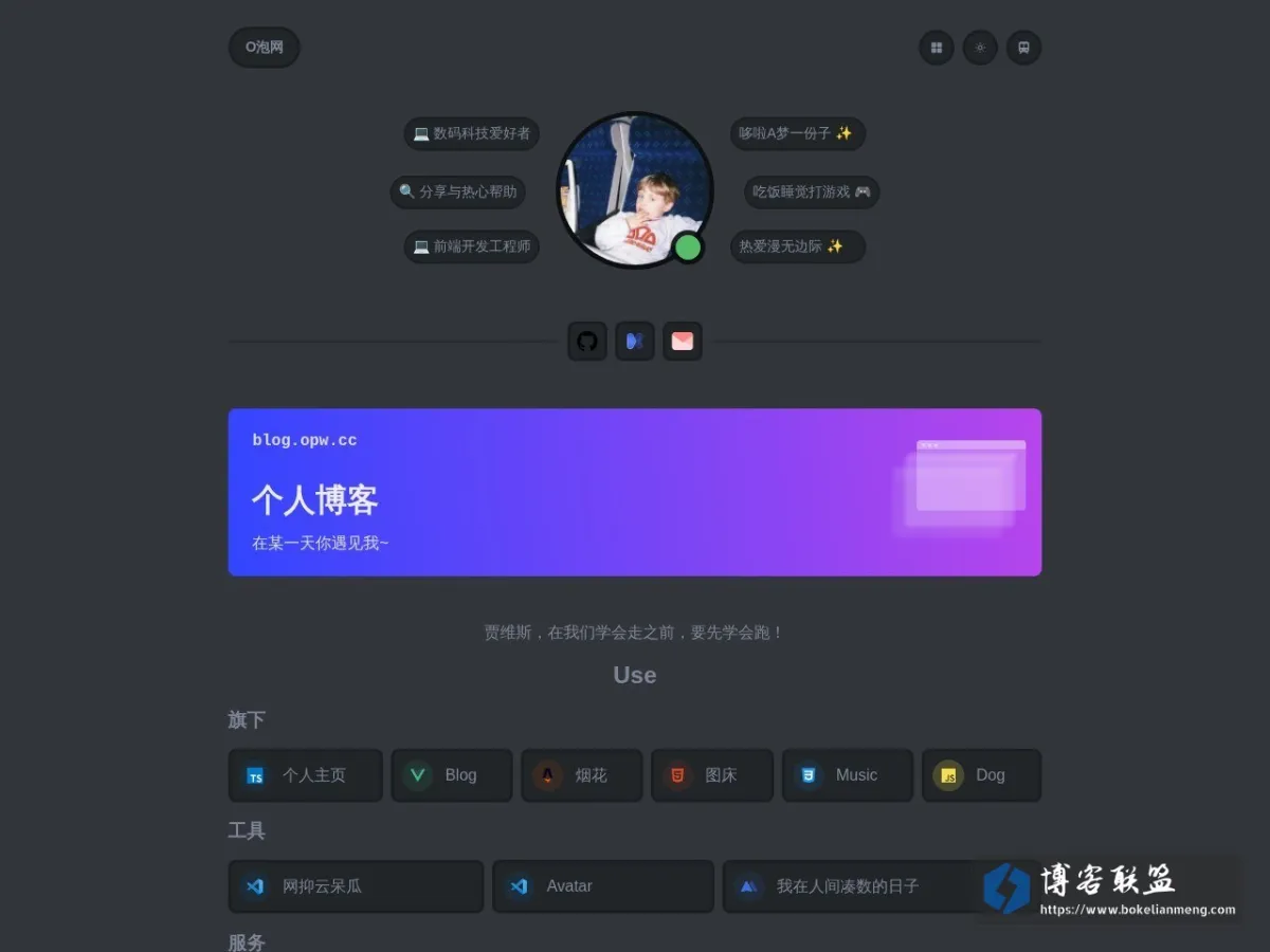 O泡 的网站快照