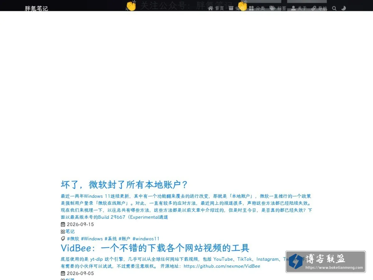 胖氪笔记 的网站快照