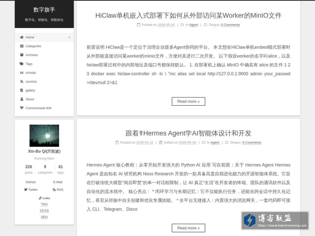 数字旗手 的网站快照