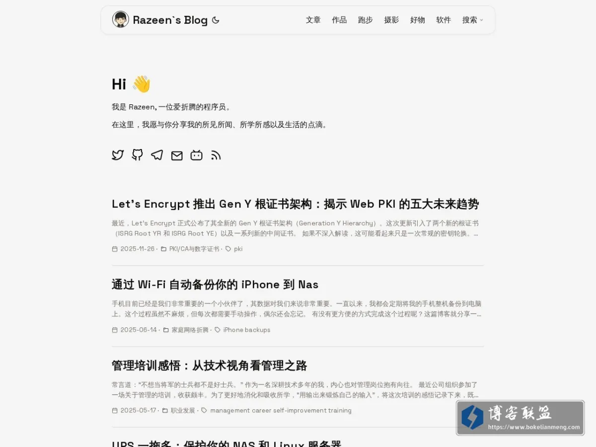 Razeen's Blog 的网站快照