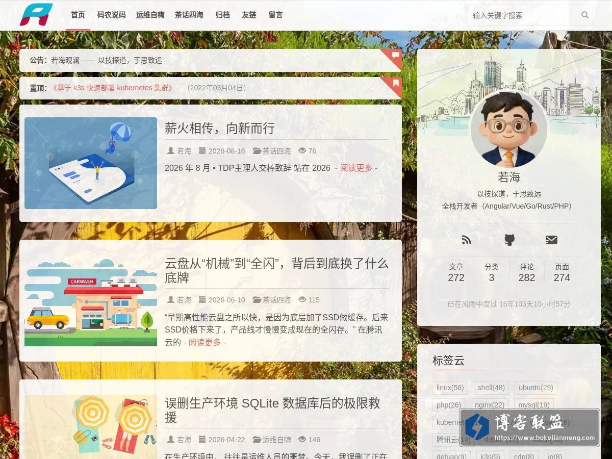 若海观澜 的网站快照