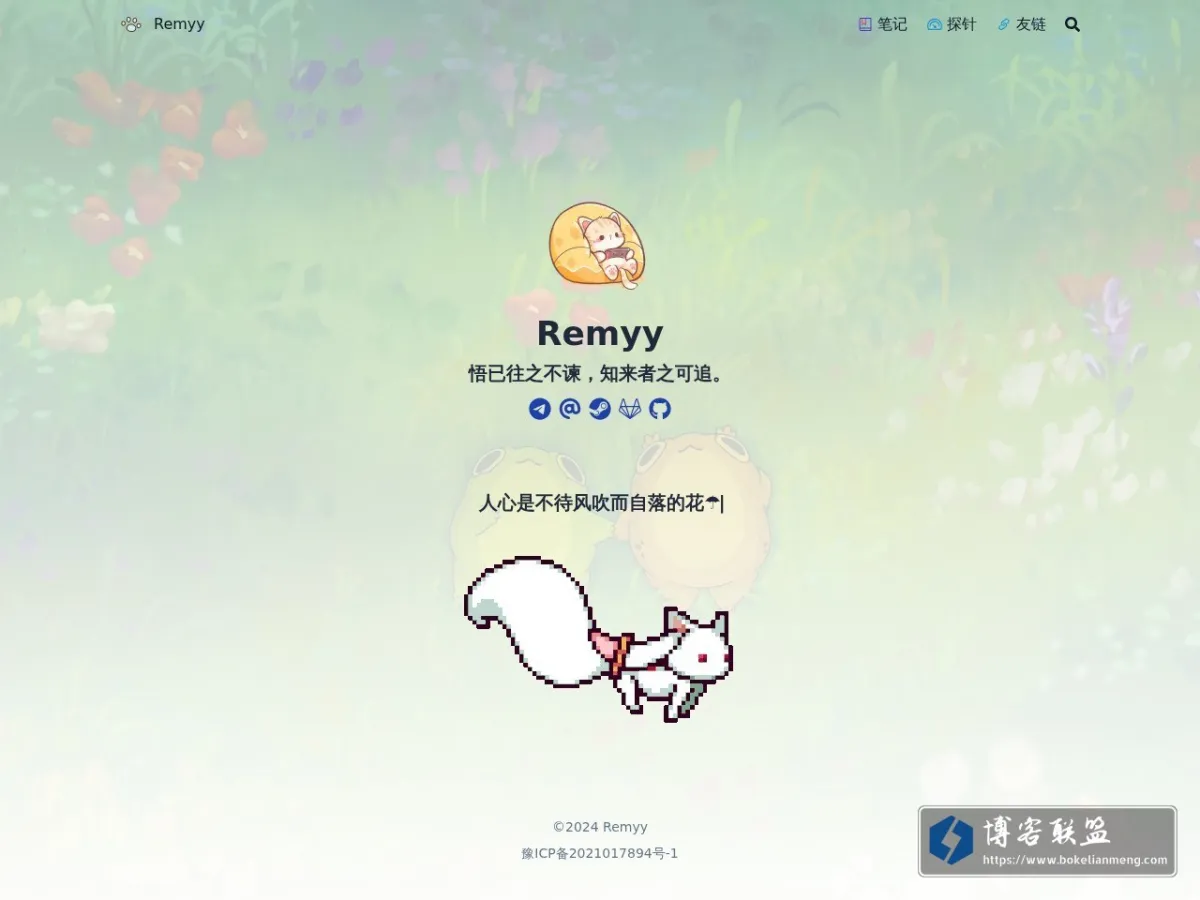 remyy.cn 的网站快照