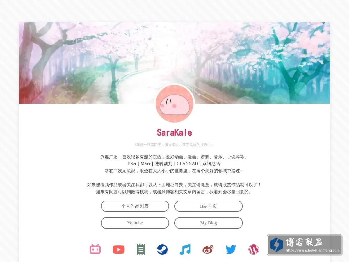 SaraKale's blog 的网站快照