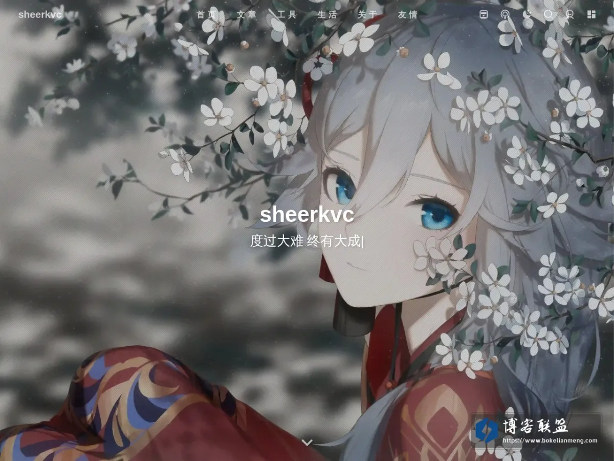 sheerkvc.top 的网站快照