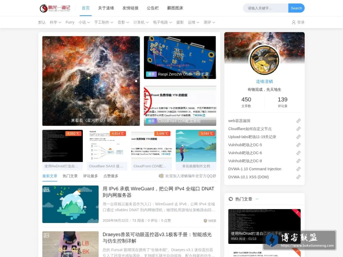 银龙笔记 的网站快照