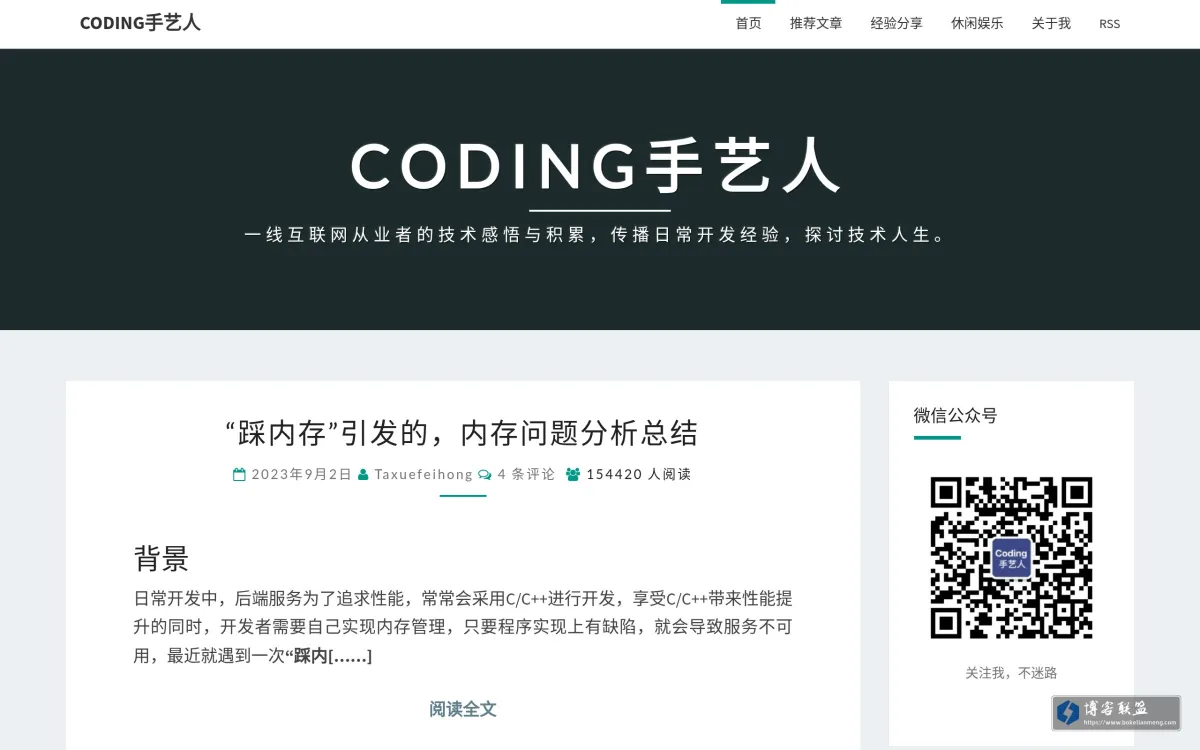 Coding手艺人 的网站快照